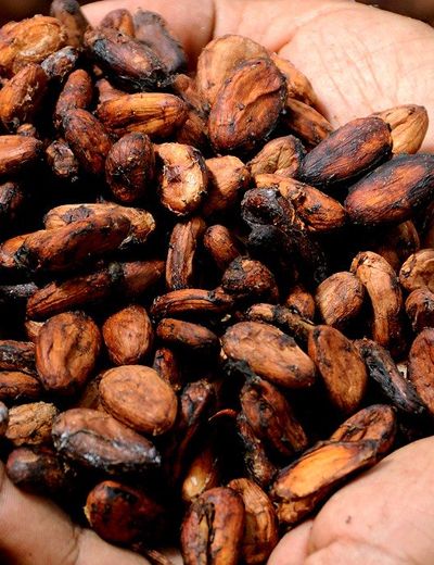 chocolat-tour-experience-paris-chocolatier-feves-cacao - expériencesculinaires - Paris - GTS