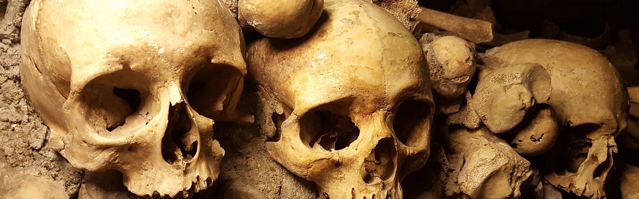 Privatisation des catacombes de Paris