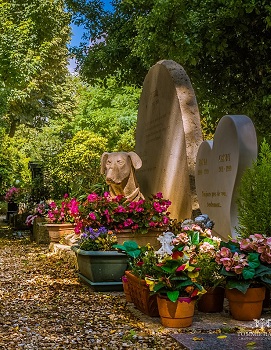 Visite guidée du cimetière animalier d'Asnières-sur-Seine