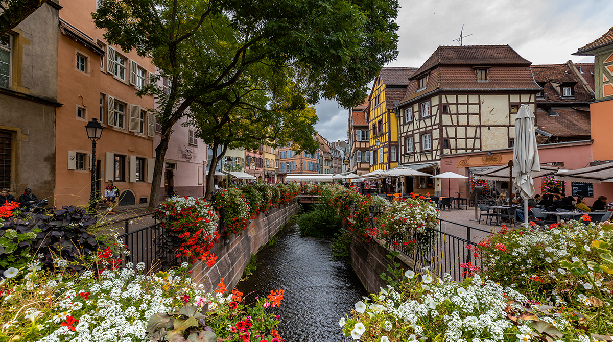 visite-guidee-colmar Visite guidée de Colmar